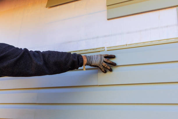 Best Historical Building Siding Restoration  in Sangaree, SC